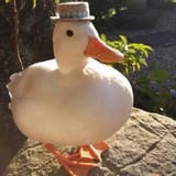Duck.hat.....