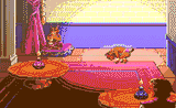 cat dance