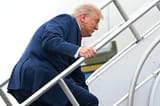 trump neck flab