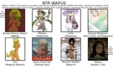 NTR waifus(2)