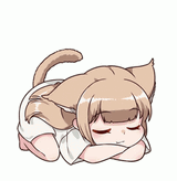 neko sleep zzzz