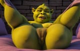 shrek279_ver1.1