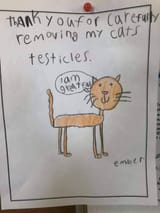 ,,,TESTICLES 19219191291992