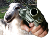 Thread 937873641 OP Image