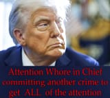 Criminal in Chief