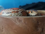 20180517_162757