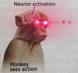 neuron activation