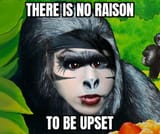 raison.log.butthurt...........