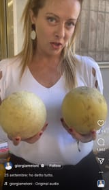 meloni melons