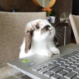 bunputer