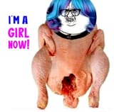 trans chicken