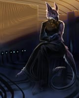 1669303439.saf_149smallwebversion