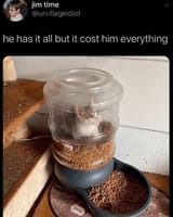 _aacat-who-is-stuck-in-food-dispenser-jim-time-urvillageidiot-he-has-it-all-but-it-cost-him-everything