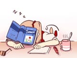 FLANDRE SLEEP JAPANESE