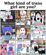 tranny_types