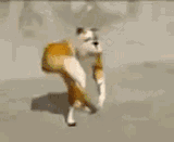 epic-dog-epic
