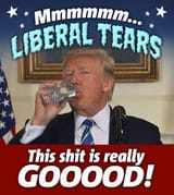 LIBERAL.TEARS.....