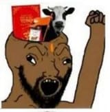 2342364353