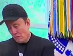 MuskHighAsAKite_thumb.jpg