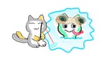 CAT FISHES FROG