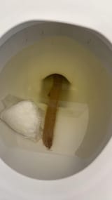 cq6likcbnc7f1