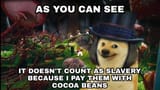 doge-wonka