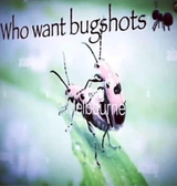 bugshots