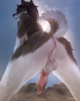 562667