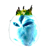 1746575698951148