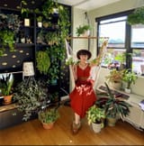Plants