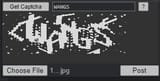 wangs