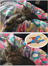 supes