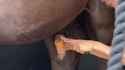 1742288916109514_thumb.jpg
