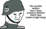 The socialist welfare state I want would be WHITES ONLY! That makes it right-wing! - Anti-Nazi Libertarian Meme
