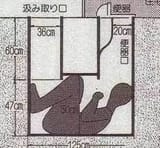 saddam urine