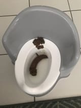 EEyvWPtUEAAw1IV