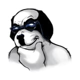 big-dog