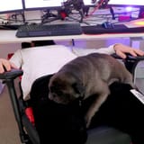 clutch_chairz-pewdiepie_edition-gaming_chair-3_9b3375c4-46b8-4b37-b92e-5408f2ec686f