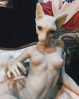weird cat 3