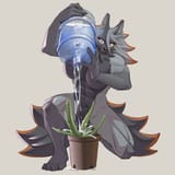 how not to water plants 1612407827843 especially not succulents like aloe
