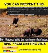 1735209703251891