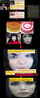 cognitive dissonance of simps example