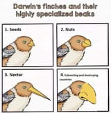 1739161294903740