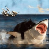 kotsharkattack