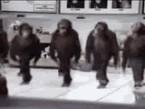 monkey-dance
