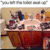toiletseatup