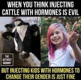 hormones