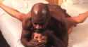 1743616672157449_thumb.jpg