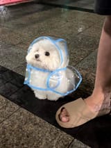 cute