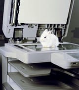 bun over machine